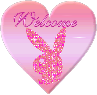 bienvenu dans mon vip blog