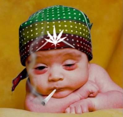 c le bebe de leyla