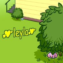 leyla